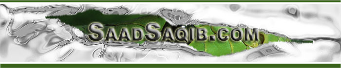 SaadSaqib.com Header